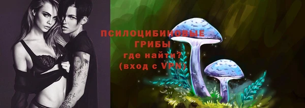 МДПВ Арсеньев