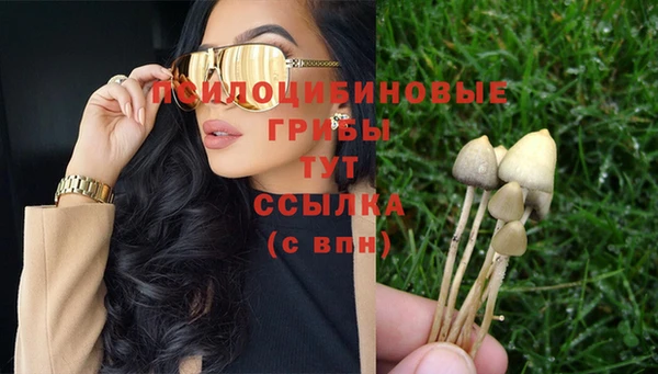 бошки Аркадак