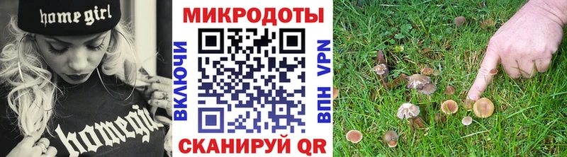 Псилоцибиновые грибы Psilocybe  кракен зеркало  Новохопёрск  наркотики 